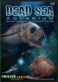 TWISTED AMBIENCE - DEAD SEA AQUARIUM (DVD)