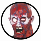 ANATOMIE MUSKEL MASKE