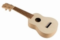 MY UKULELE KIT
