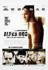 1 x ALPHA DOG