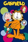 1 x GARFIELD