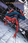 1 x SPIDER-MAN 2