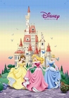 3 x DISNEY: PRINCESS