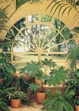 FOTOTAPETE - WINTERGARTEN